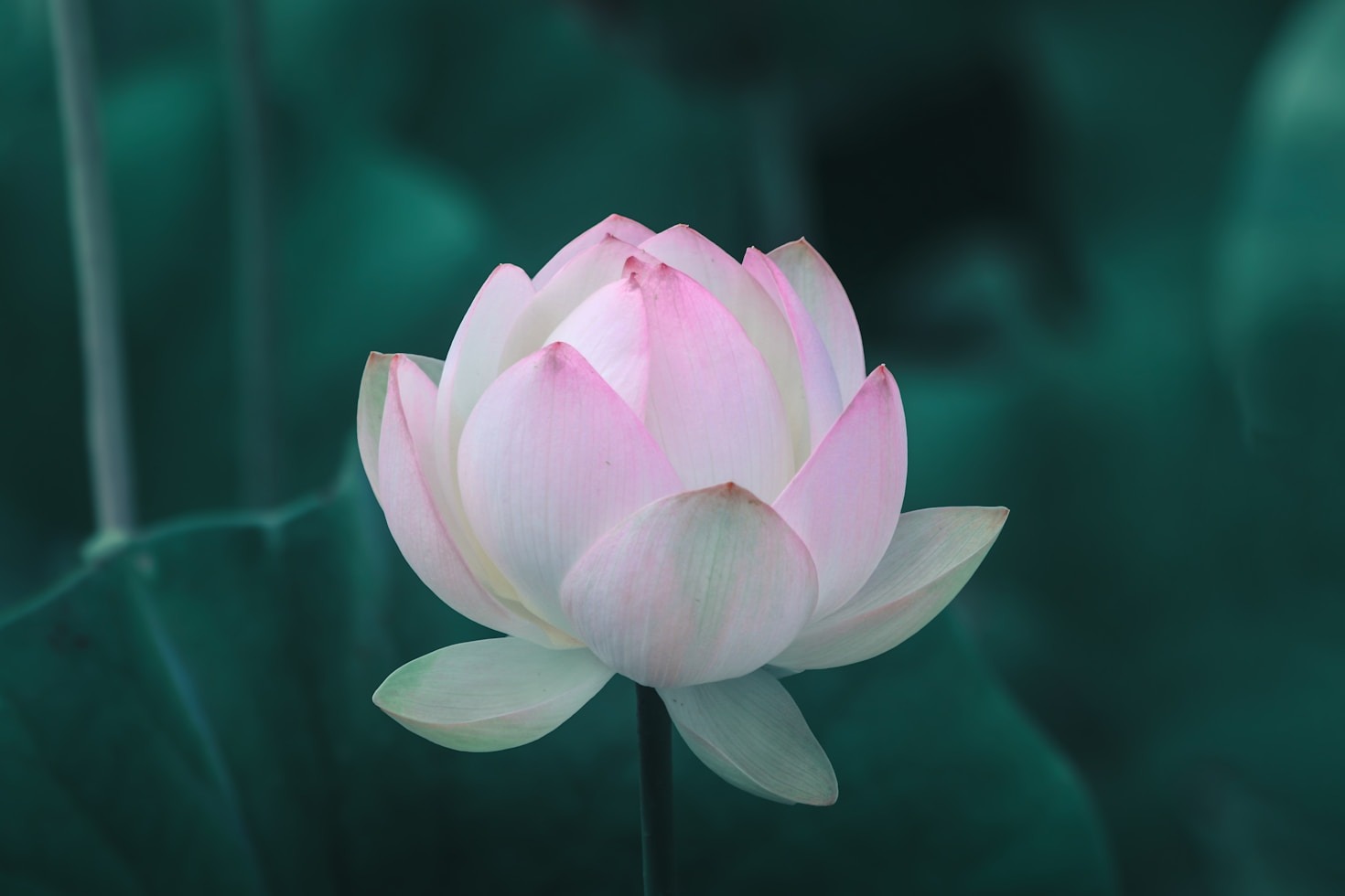 Part III: The Awakening Begins Within