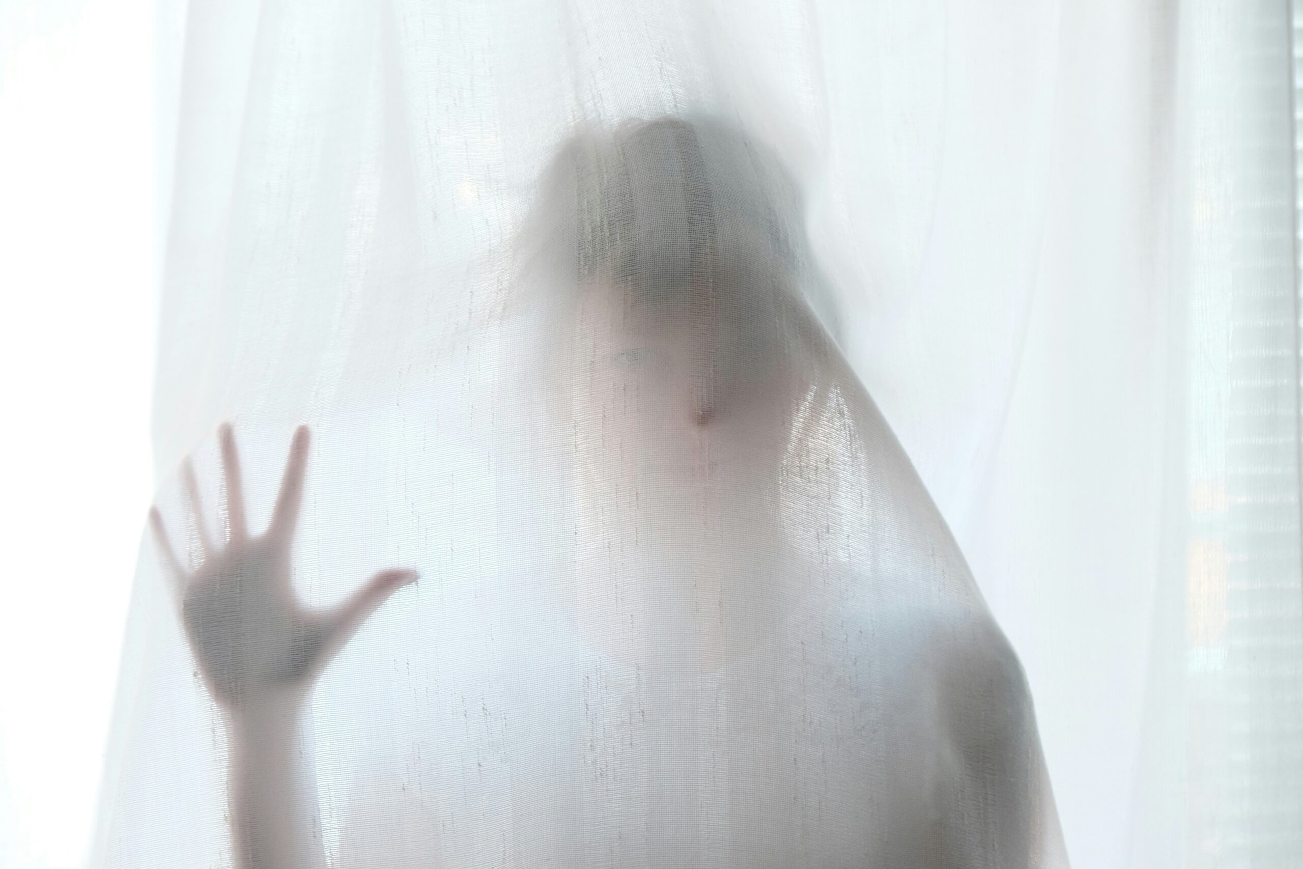 巾 The First Veil: What  You  Were  Never  Told