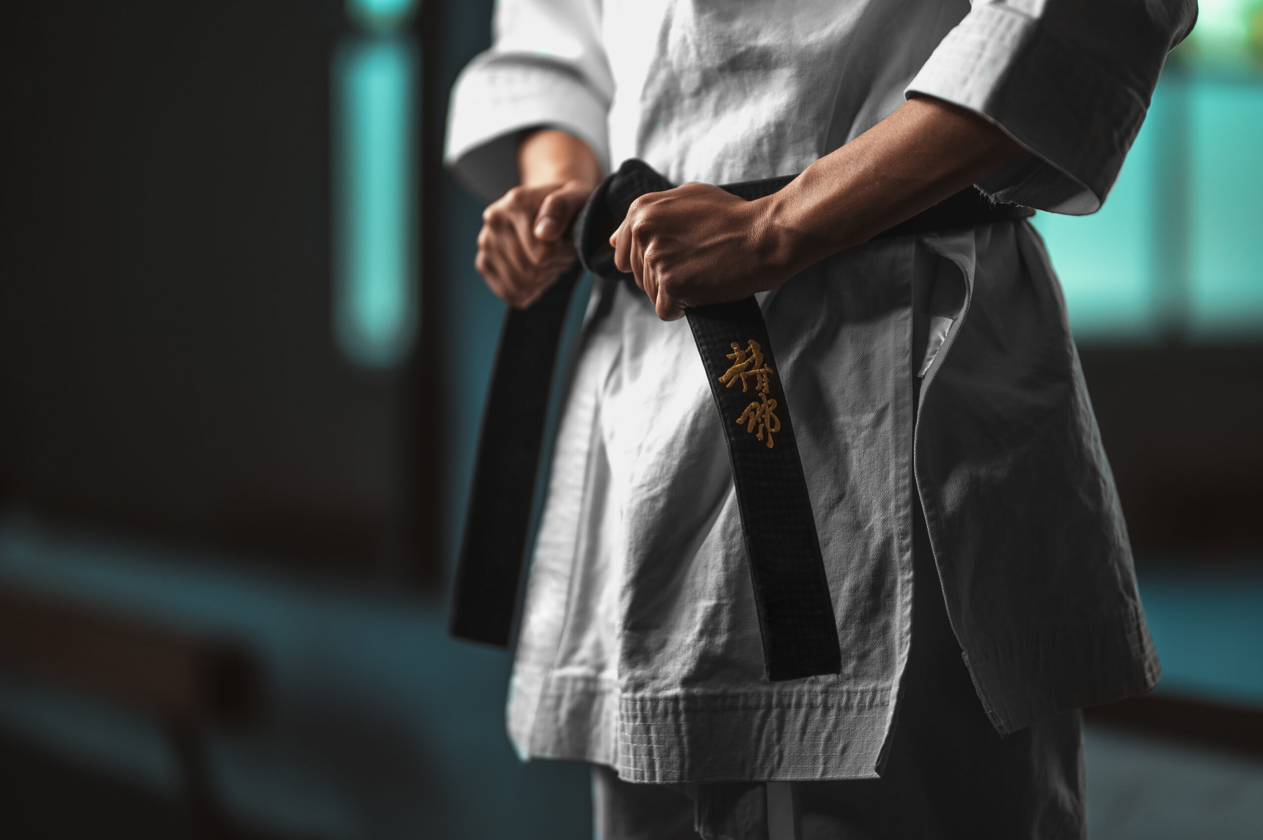 Karate: A Path to Wholeness